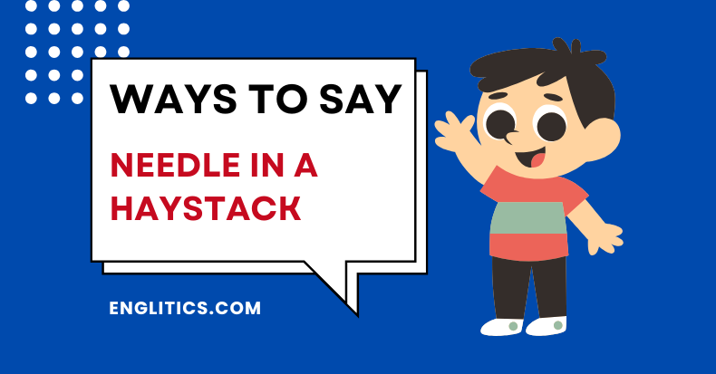 Ways to Say Needle in a Haystack