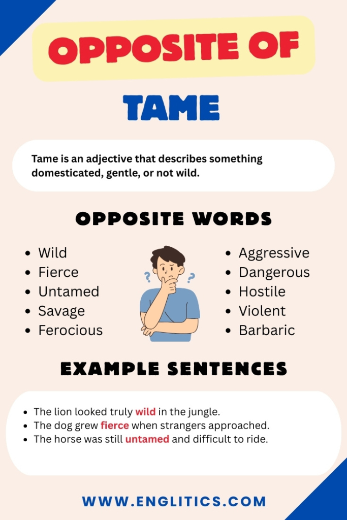 Opposite of Tame