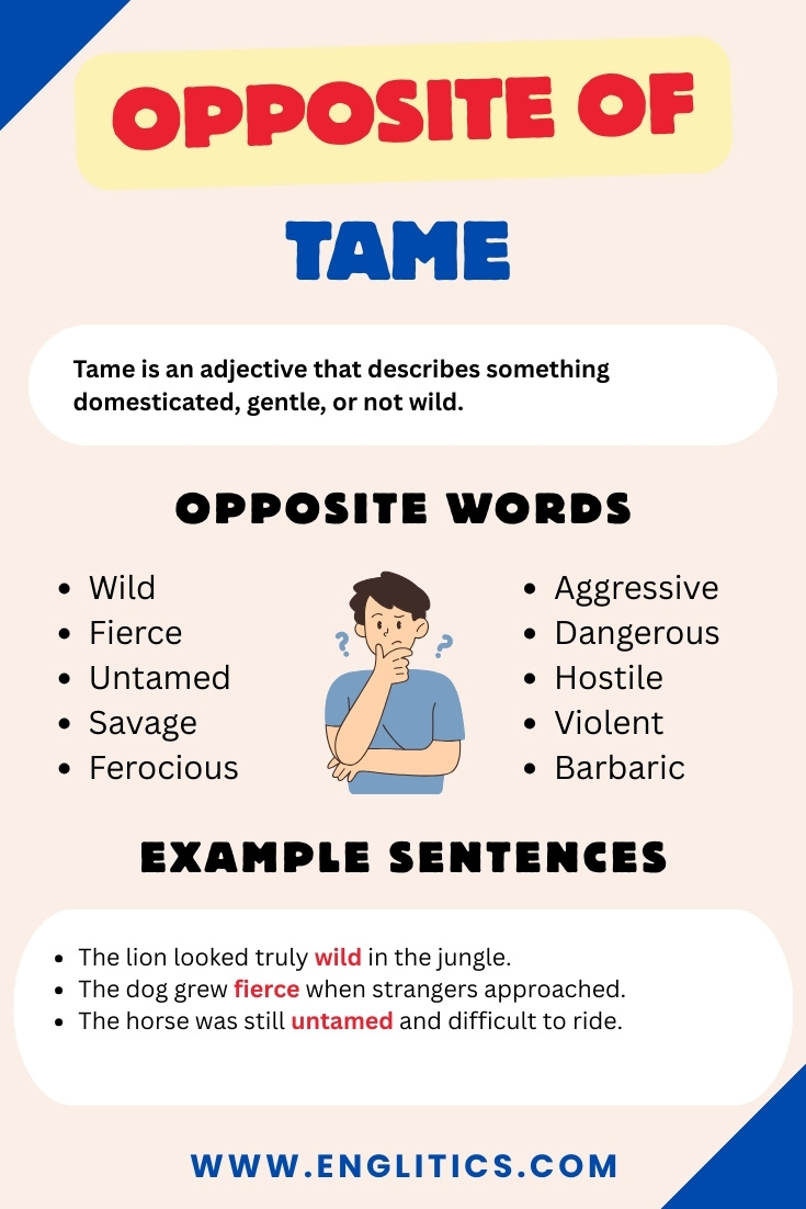 Opposite of Tame