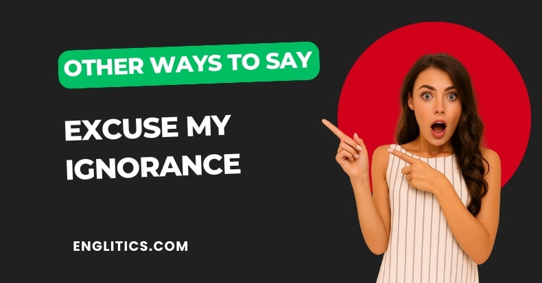 Other Ways to Say Excuse My Ignorance