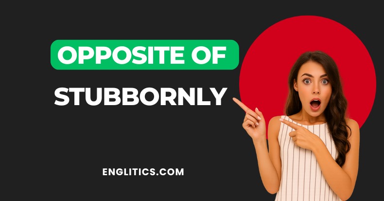 Opposite of Stubbornly