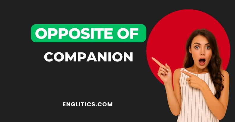 companion